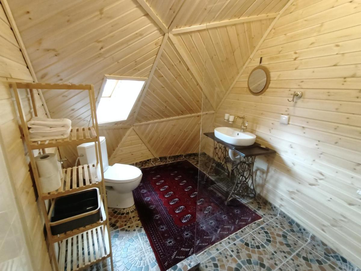 Villa Domul Poarta Retezat à Rausor Extérieur photo