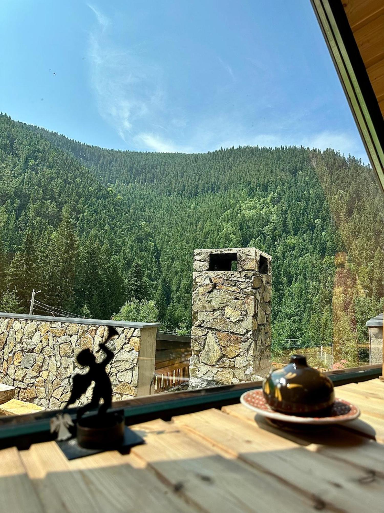 Villa Domul Poarta Retezat à Rausor Extérieur photo