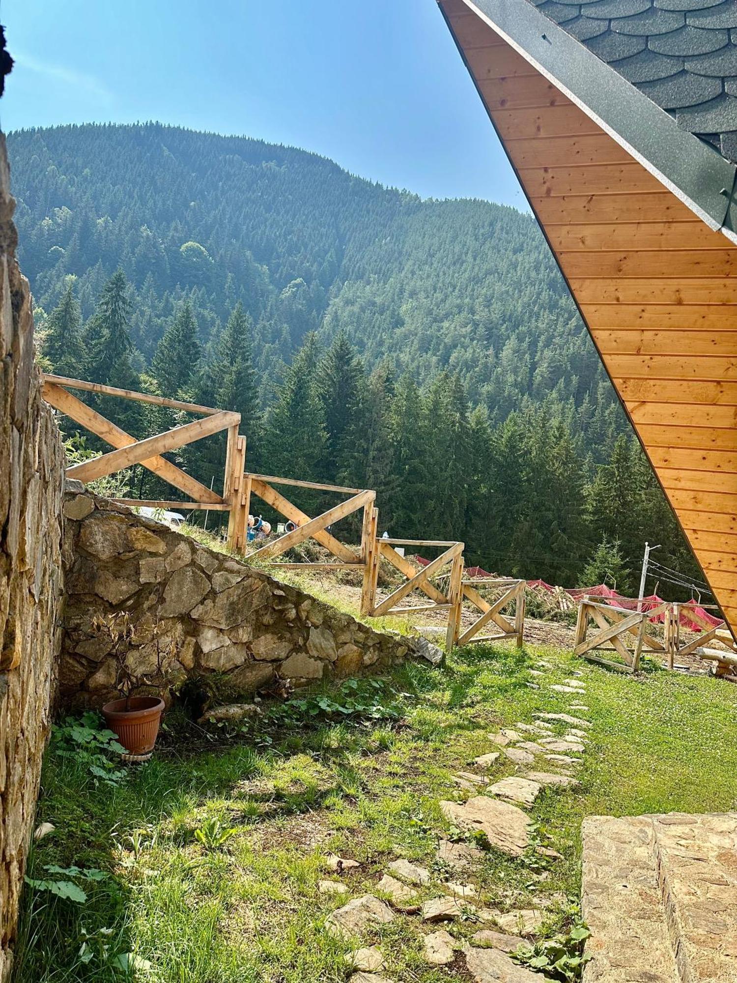 Villa Domul Poarta Retezat à Rausor Extérieur photo