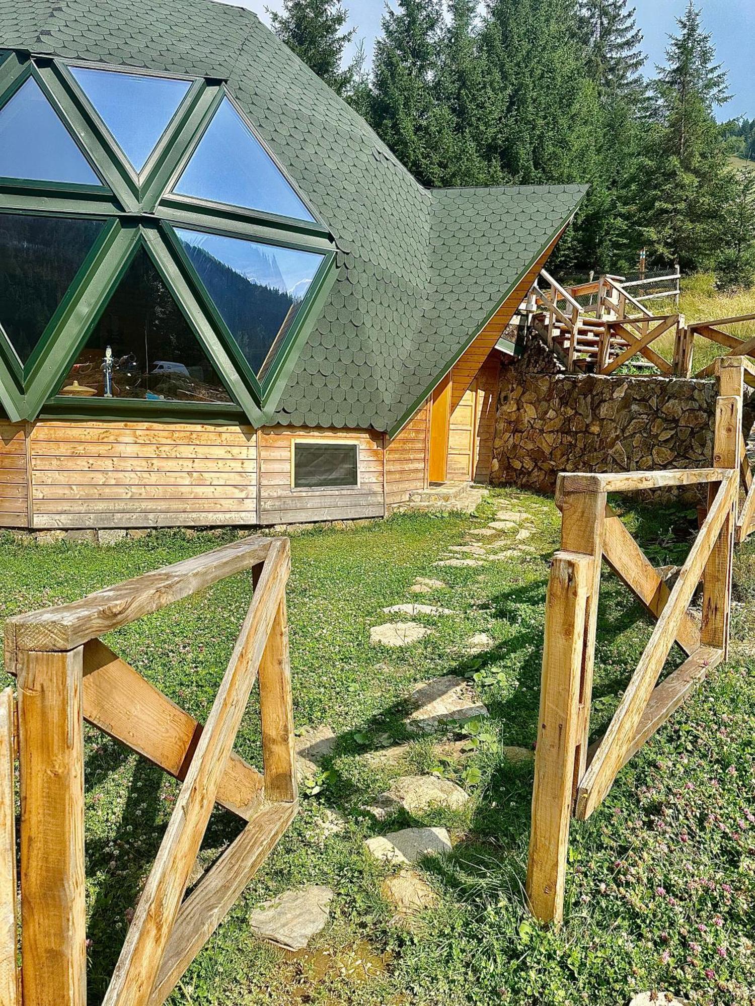 Villa Domul Poarta Retezat à Rausor Extérieur photo